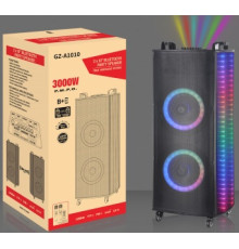 Акустична система NDR/GZ-1010 (10"х2) (50W) (Бездротові мікрофони 2шт) (Пульт)