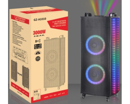 Акустична система NDR/GZ-1010 (10"х2) (50W) (Бездротові мікрофони 2шт) (Пульт)