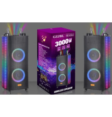 Акустична система NDR-A1212 (12"х2) (120-200W) (Бездротові мікрофони 2шт) (Пульт)