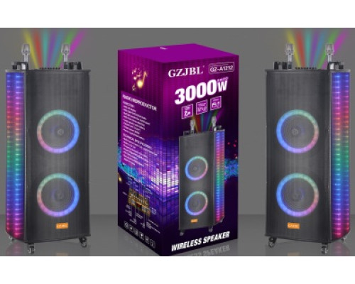 Акустична система NDR-A1212 (12"х2) (120-200W) (Бездротові мікрофони 2шт) (Пульт)