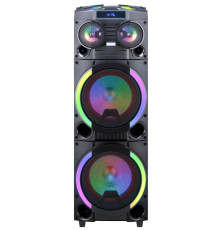 Акустична система HS-TD12P8 (12"х2) (80-200W) (Бездротові мікрофони 2шт) (Пульт)