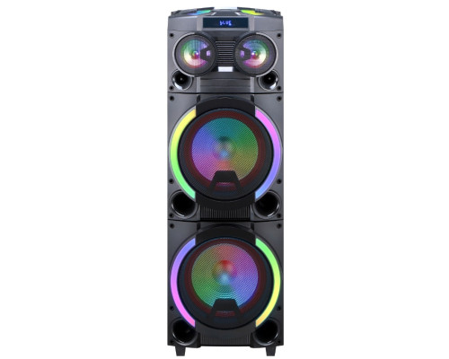 Акустична система HS-TD12P8 (12"х2) (80-200W) (Бездротові мікрофони 2шт) (Пульт)