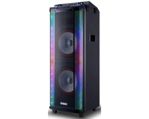 Акустична система HS-TD1070 (12"х2) (80W) (Бездротовий мікрофон) (Пульт)