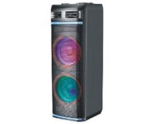 Акустична система HS-TD1298 (12"х2) (80-200W) (Бездротові мікрофони 2шт) (Пульт)