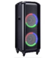 Акустична система HS-TD1010 (10"х2) (80W) (Бездротові мікрофони 2шт) (Пульт)