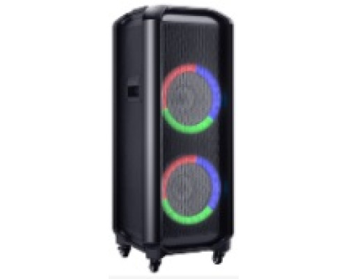 Акустична система HS-TD1010 (10"х2) (80W) (Бездротові мікрофони 2шт) (Пульт)
