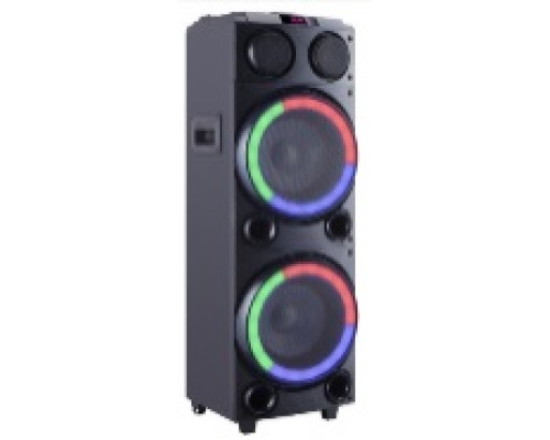 Акустична система HS-TD1020 (10"х2) (80W) (Бездротовий мікрофон) (Пульт)