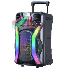 Акустична система HS-TS12H8 (12"х2) (30-50W) (Бездротові мікрофони 2шт) (4500mAh) (Пульт)
