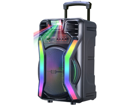 Акустична система HS-TS12H8 (12"х2) (30-50W) (Бездротові мікрофони 2шт) (4500mAh) (Пульт)