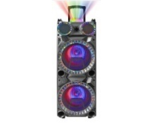 Акустична система HS-TS1246 (12"х2) (50W) (Бездротові мікрофони 2шт) (Пульт)