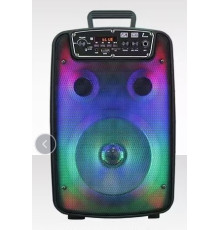 Акустична система OTY-808 (8"x1) (10W) (Дротовий мікрофон) (18650) (Пульт)