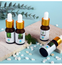 Олія ароматизаторна для зволожувачів (B-10ML) (720)