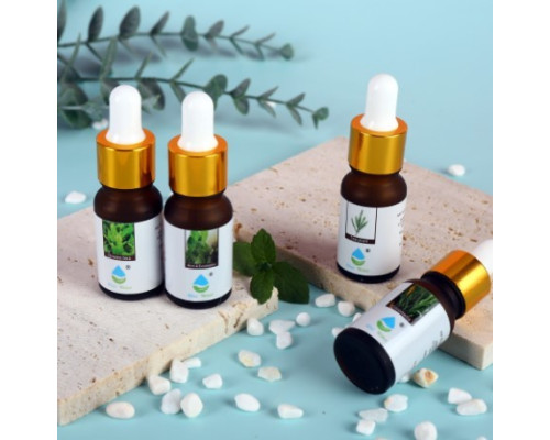 Олія ароматизаторна для зволожувачів (B-10ML) (720)