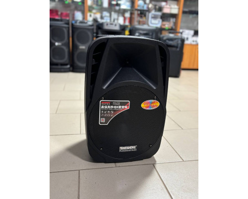 Портативна акумуляторна колонка Temeisheng А18Х, 100W