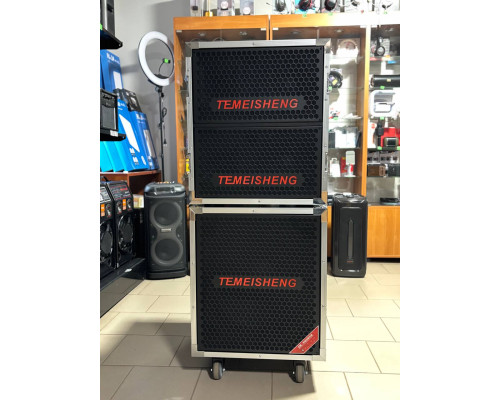 Портативна акустична система Temeisheng GD18-04 PRO 1000W