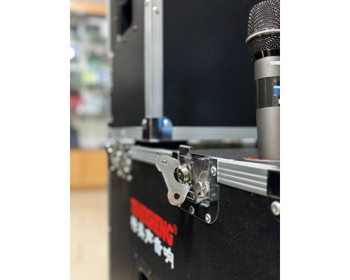 Портативна акустична система Temeisheng GD18-04 PRO 1000W