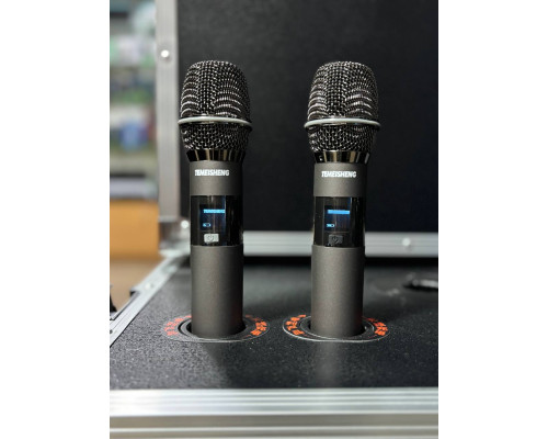 Портативна акустична система Temeisheng GD18-04 PRO 1000W