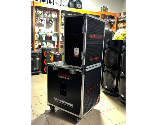 Портативна акустична система Temeisheng GD18-04 PRO 1000W