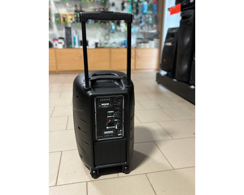 Портативна акумуляторна колонка Temeisheng А18Х, 100W