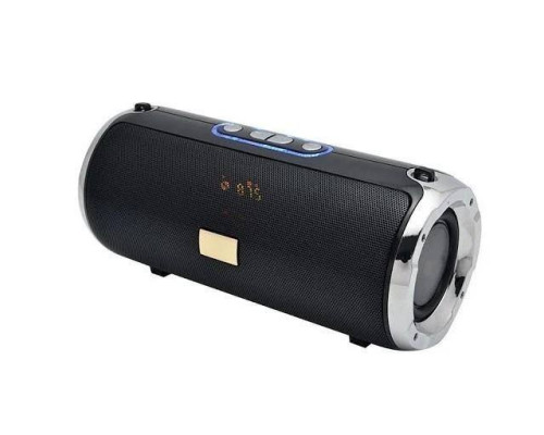 Golon Atlanfa RX-1888bt 20W, bluetooth колонка з FM і MP3, чорна