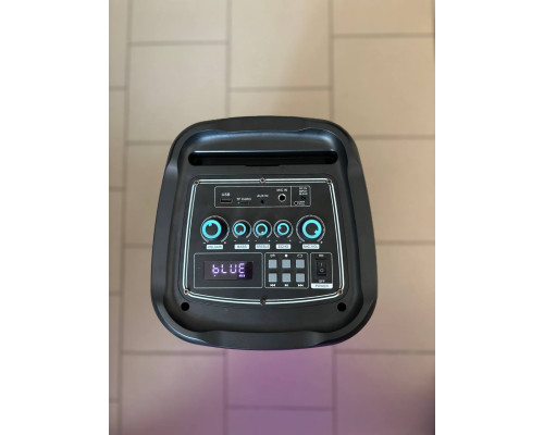 Акустична система, портативна Bluetooth колонка Temeisheng D208A з двома мікрофонами 