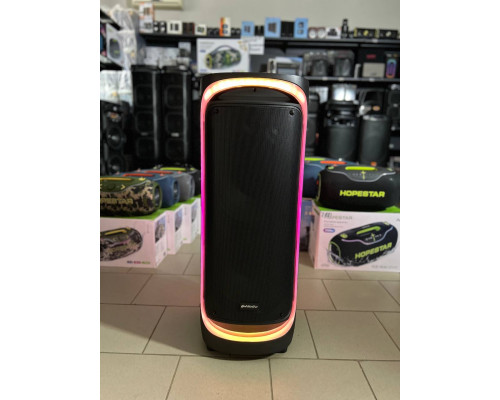 Потужна музична колонка Goldteller GT2222 (160W RMS / 1600W PMPO)