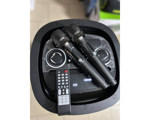 Потужна музична колонка Goldteller GT2222 (160W RMS / 1600W PMPO)