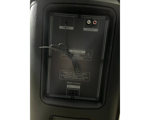 Потужна музична колонка Goldteller GT2222 (160W RMS / 1600W PMPO)