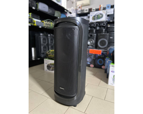 Потужна музична колонка Goldteller GT2222 (160W RMS / 1600W PMPO)
