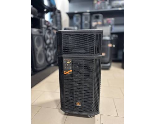 Soontran SG30-208 – професійна акустична система потужністю 500W