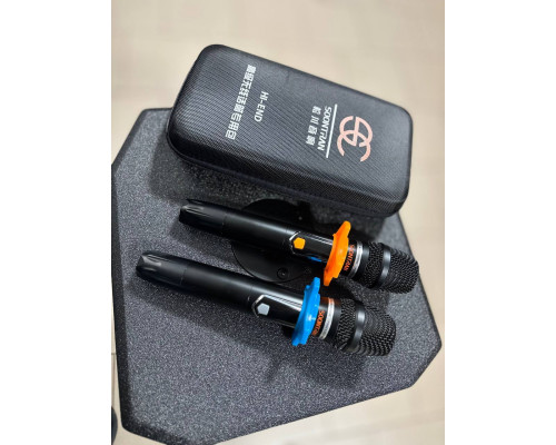 Soontran SG30-208 – професійна акустична система потужністю 500W