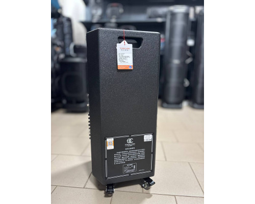 Soontran SG30-208 – професійна акустична система потужністю 500W