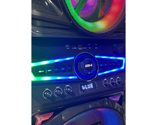 Потужна акустична система Gedi-G GD-3121 — 1000W