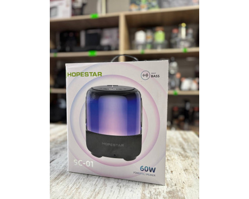 Портативна музична колонка Hopestar SC-01, 60W