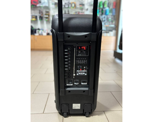 Акустична система Goldteller GT-6067 із двома мікрофонами