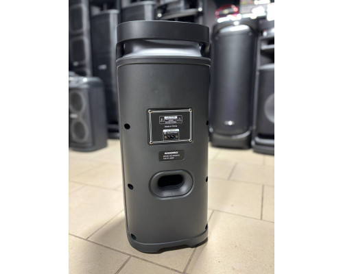 Портативна акумуляторна колонка SOUNDMAX 6620D