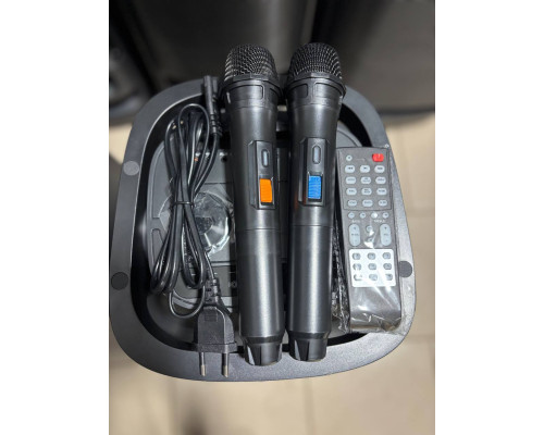 Портативна акумуляторна колонка SOUNDMAX 6620D