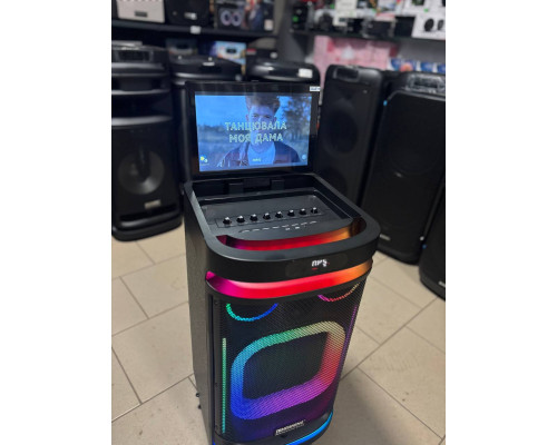 Потужна караоке система з екраном 12'' Temeisheng 800P, 300W