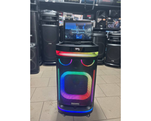 Потужна караоке система з екраном 12'' Temeisheng 800P, 300W