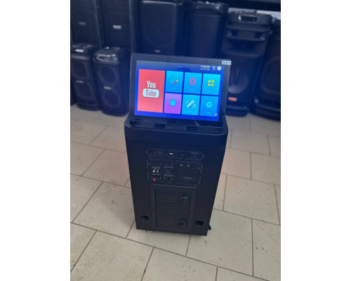 Потужна караоке система з екраном 12'' Temeisheng 800P, 300W