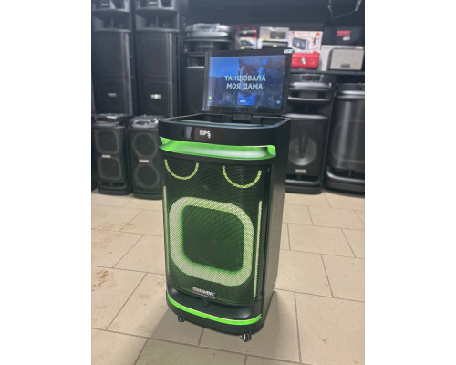 Потужна караоке система з екраном 12'' Temeisheng 800P, 300W