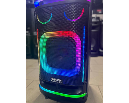 Потужна караоке система з екраном 12'' Temeisheng 800P, 300W