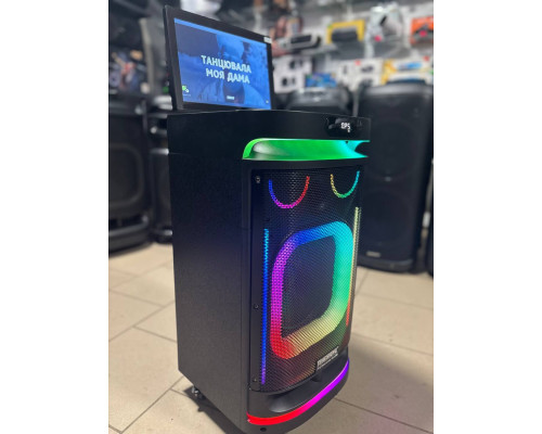 Потужна караоке система з екраном 12'' Temeisheng 800P, 300W