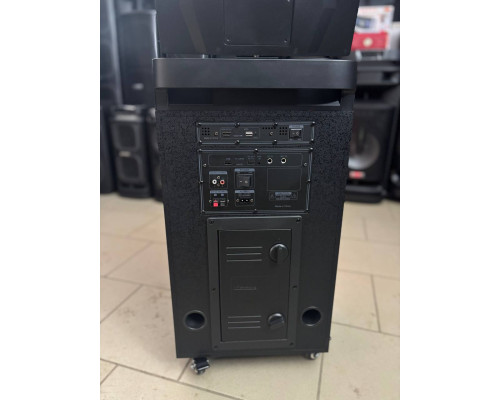 Потужна караоке система з екраном 12'' Temeisheng 800P, 300W