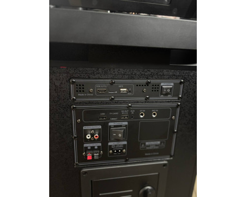 Потужна караоке система з екраном 12'' Temeisheng 800P, 300W