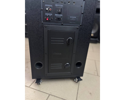 Потужна караоке система з екраном 12'' Temeisheng 800P, 300W