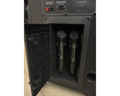 Потужна караоке система з екраном 12'' Temeisheng 800P, 300W