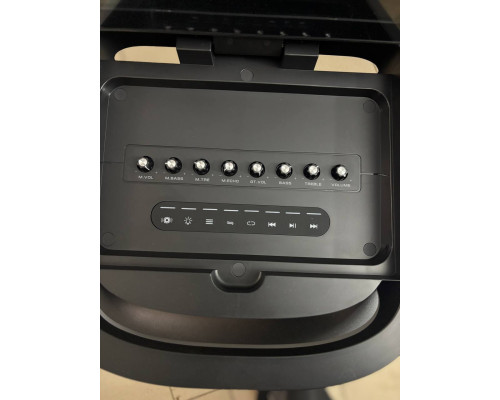 Потужна караоке система з екраном 12'' Temeisheng 800P, 300W