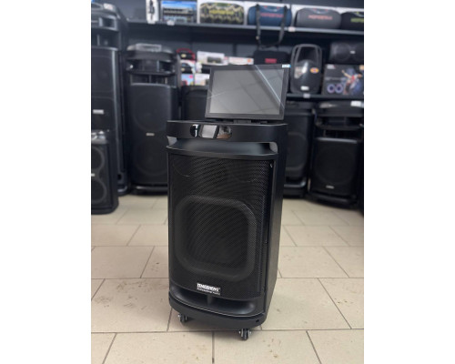 Потужна караоке система з екраном 12'' Temeisheng 800P, 300W