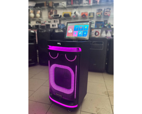 Потужна караоке система з екраном 12'' Temeisheng 800P, 300W